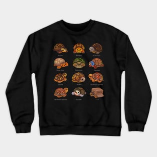 Box turtle Crewneck Sweatshirt